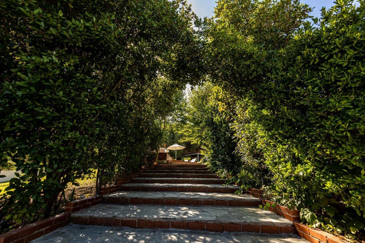 Casa Luxury Suites Paliouri Exteriér fotografie
